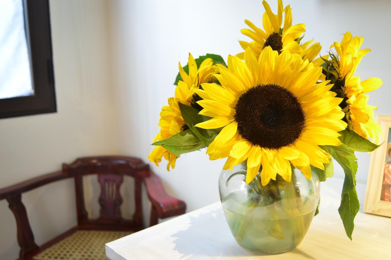 Casa Girasol Bed & Breakfast Antigua Ngoại thất bức ảnh